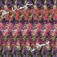 John McLaughlin - Promise in the group OTHER / Övrigt /  at Bengans Skivbutik AB (554306)
