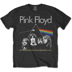 Pink Floyd - Dsotm Band & Pulse Boys Char 