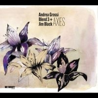 Andrea Grossi Blend 3 + Jim Black - Axes