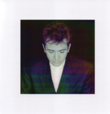 Peter Gabriel - Shaking The Tree