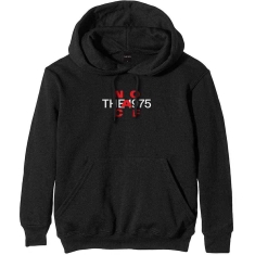 The 1975 - Noacf Logo Uni Bl Hoodie 