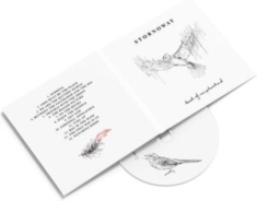 Stornoway - Best Of: Unplucked