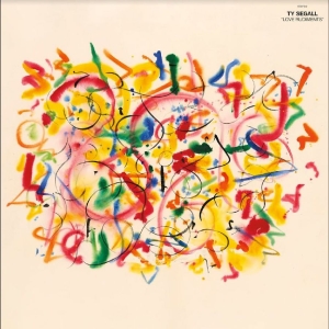Segall Ty - Love Rudiments