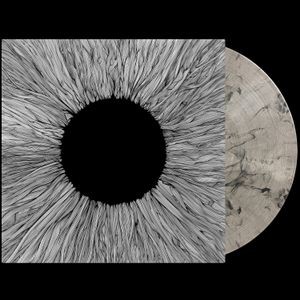VOLA - Witness