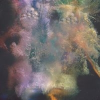 Humfree Bug Art - Hawaii / Mirrors