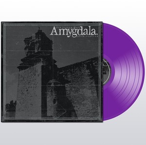 Amygdala - Our Voices Will Soar Forever