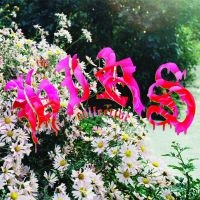 Hirs Collective The - We're Still Here (White Vinyl)