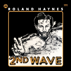 Haynes Roland - Second Wave (Blue W/ Black Swirl Vi