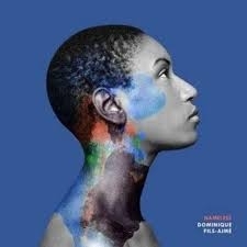 Dominique Fils-Aimé - Namelass