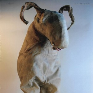 Station 17 - Live At Sonic Whip 2022 (Grade A Pe