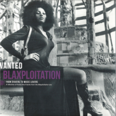 Various Artists - Split Seams/Vikt Hörn Wanted: Blaxploitation