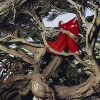Frances Hannah - Nested In Tangles (Ruby Red Vinyl)