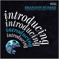 Brandon Suarez - Introducing