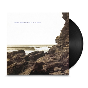 Polygon Window (Aka Aphex Twin) - Surfing On Sine Waves (Expanded 3LP Edition)