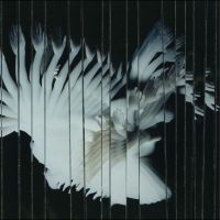 Scaler - Endlessly