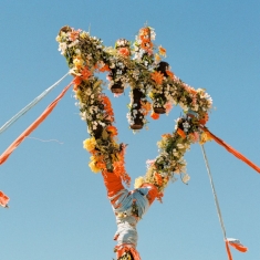 Devil Wears Prada The - Flowers