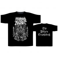 Morbid Angel - T/S Pillars Crumbling (S)
