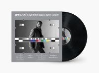 Anderson Ian - Walk Into Light (Black Vinyl Lp)
