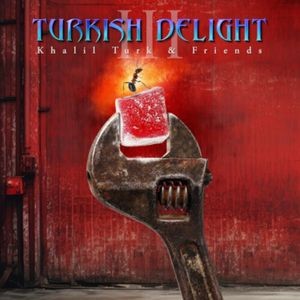 Various Artists - Turkish Delight Volume Three (2 Lp)