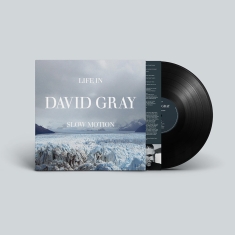 David Gray - Life In Slow Motion (20Th Anniversary Vinyl)