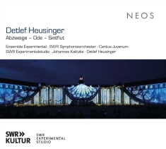 Ensemble Experimental & Swr Symphonieorchester - Detlef Heusinger: Abzweige - Ode - Sintflut