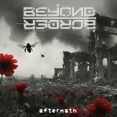 Beyond Border - Aftermath