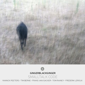 Yannick Peeters & Gingerblackginger & Tim Berne - Smalltalk Code