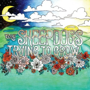 Sheepdogs The — Trying To Grow