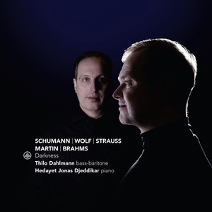 Thilo Dahlmann & Hedayet Jonas Djeddikar - Darkness
