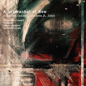 Giacomo Susani - A Screenshot Of Now
