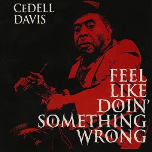 Davis Cedell - Feel Like Doin' Somethin' Wrong