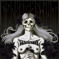 Nachtmystium - Assassins: Black Meddle Pt. 1