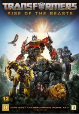 Movie - Transformers: Rise Of The Beasts (Dvd)