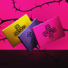 Txt - 7th Year : When The Wind Paused Among The Thorns  (Random Ver.)