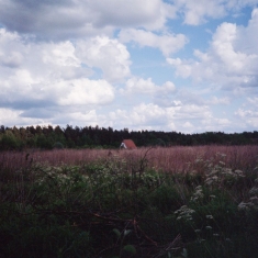 Tiner Kris & Cathlene Pineda - Sung