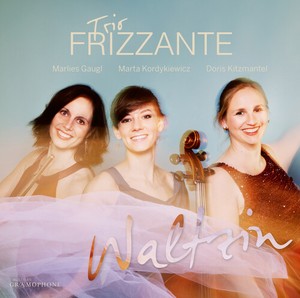 Various - Waltzin