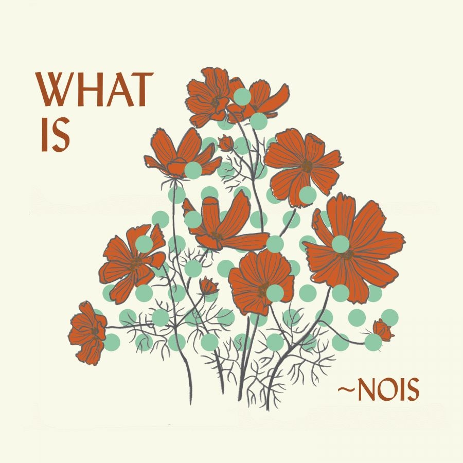 Nois - What Is ~Nois?