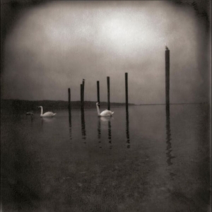 Om - Conference Of The Birds