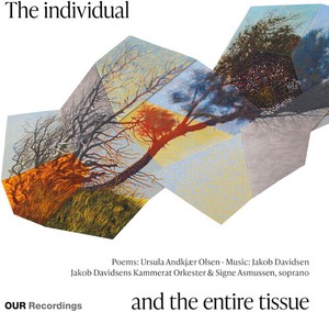Jakob Davidsen - The Individual And The Entire Tissu
