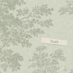 Chad Lawson - Hush