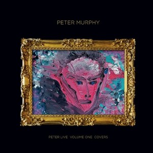 Murphy Peter - Peter Live Volume 1 Covers