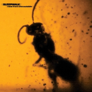 Sleepwalk - View From The Outside