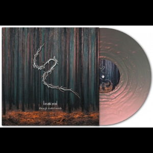 Lunatic Soul - Through Shaded Woods