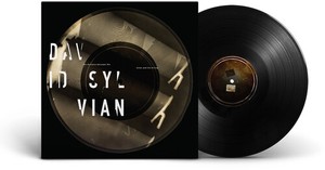Sylvian David - Distance Between The Killer And The