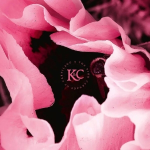 Kolman & Calvert — The Pink Carnage Of Cartilago