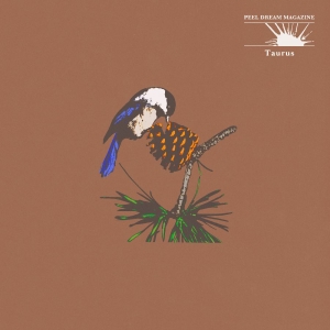 Peel Dream Magazine — Taurus (Orange And White Marble Vin