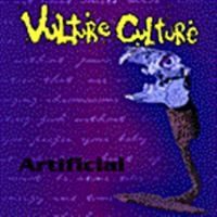 Vulture Culture - Artificial in the group CD / Hårdrock,Pop-Rock at Bengans Skivbutik AB (578361)