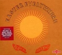 13Th Floor Elevators - Easter Everywhere in the group OUR PICKS / Blowout / Blowout-CD at Bengans Skivbutik AB (590894)