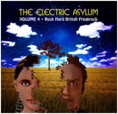 Blandade Artister - Electric Asylum Vol 4 in the group CD / Pop-Rock at Bengans Skivbutik AB (603424)