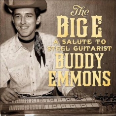 Blandade Artister - Big E:Salute To The Steel Guitarist